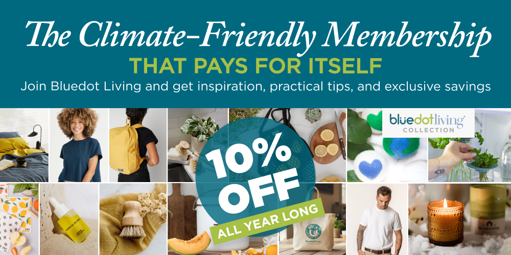 Imagine If Podcast Imagine If Podcast