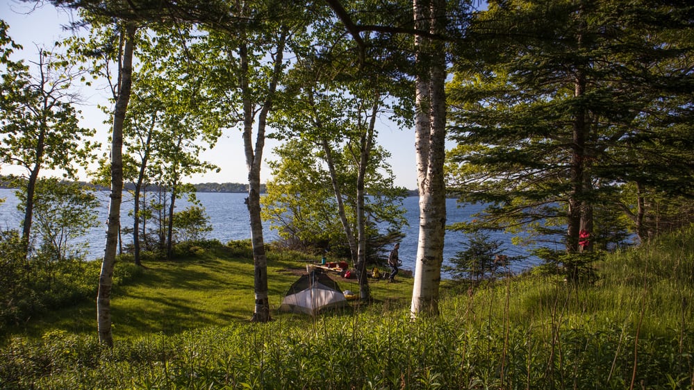 vegan dorm food vegan dorm food