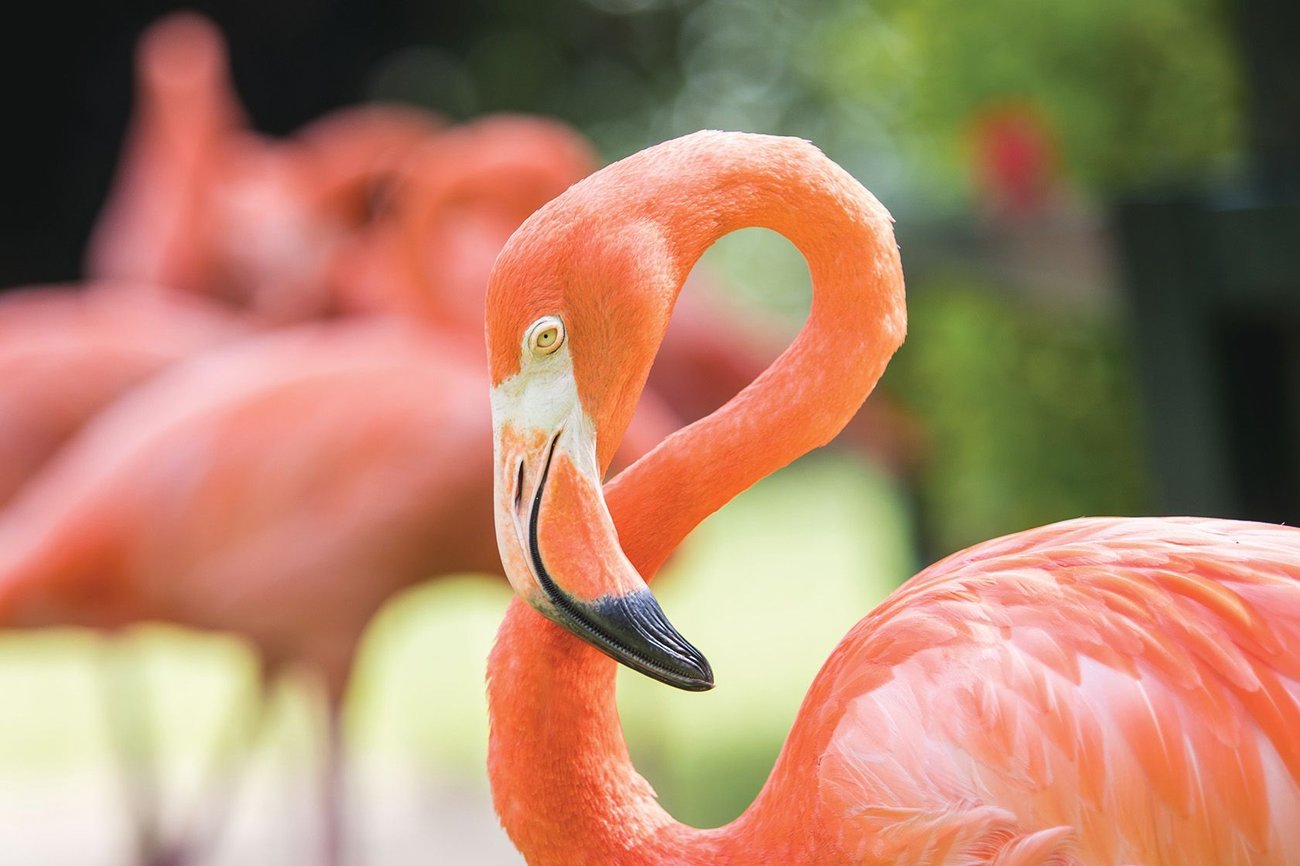 Top 10 des plus beaux parcs nationaux des Bahamas
