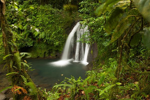 Combiné les 4 îles de Guadeloupe