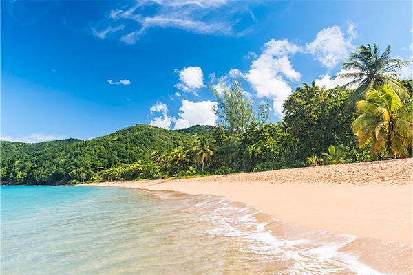 Combiné les 4 îles de Guadeloupe Combiné les 4 îles de Guadeloupe