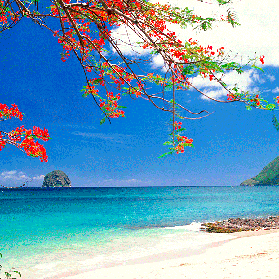 Cap sur les Caraïbes