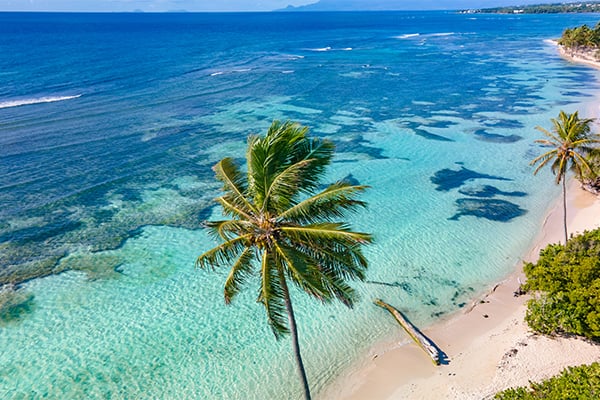Combiné Les 4 îles de Guadeloupe Combiné Les 4 îles de Guadeloupe