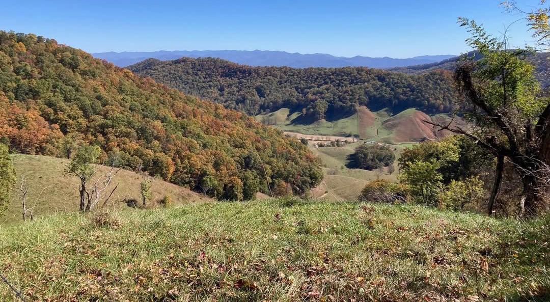 Views overlooking North Turkey Creek valley, photo taken from the edge of an SAHC-protected ridge