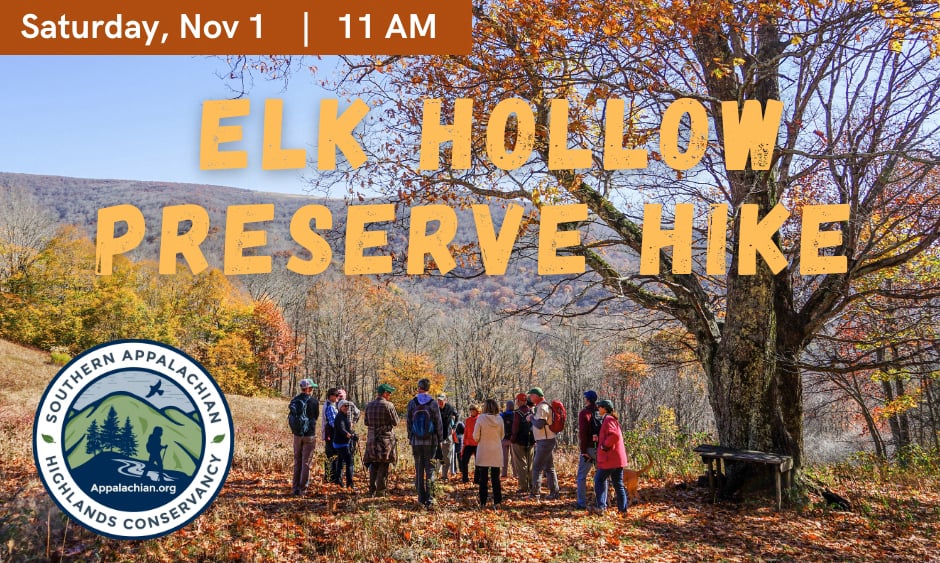 Hike promo with fall view of group by large tree