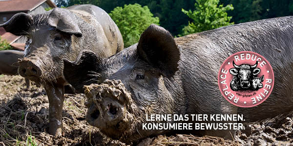 Hühner