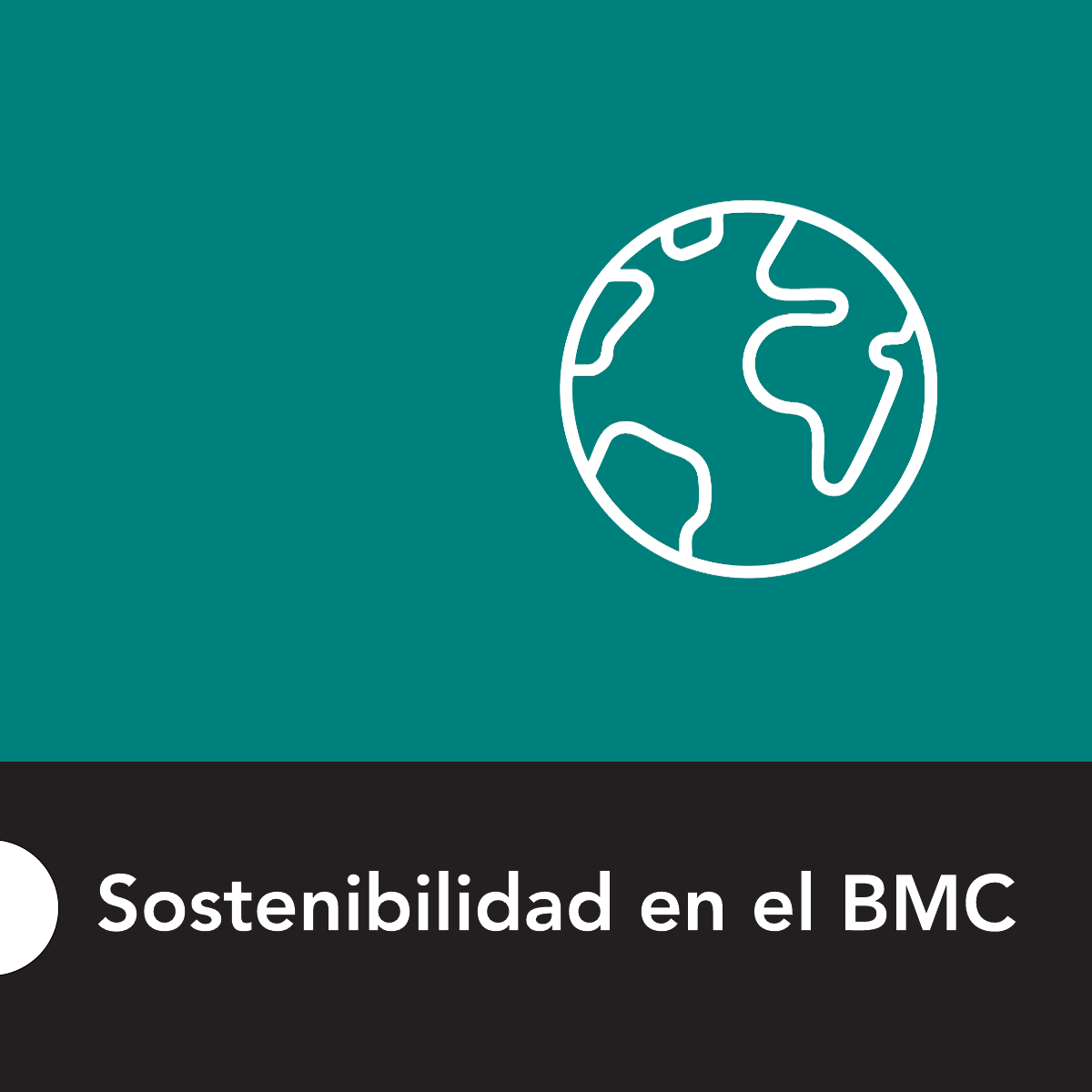 Sostenibilidad en el BMC