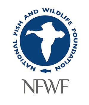 The National Science Foundation logo.