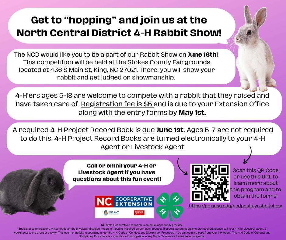 Purple flyer promoting the North Central District 4-H Rabbit Show with photos of two rabbits (a white rabbit at the top right and a black rabbit at the bottom left). The headline reads: “Get to ‘hopping’ and join us at the North Central District 4-H Rabbit Show!” The flyer invites youth ages 5–18 to participate in the rabbit show on June 16th at the Stokes County Fairgrounds, 436 S Main St, King, NC 27021, where participants will show rabbits and be judged on showmanship. Key details listed on the flyer: Registration fee: $5 Registration deadline: May 1 (forms submitted through the local Extension Office) 4-H Project Record Book due: June 1 (not required for ages 5–7; submitted electronically to a 4-H or Livestock Agent) The flyer also includes a QR code and URL for more information and forms, and logos for NC Cooperative Extension, NC A&T State University, NC State University, and 4-H. A note encourages participants to contact their 4-H or Livestock Agent with questions.