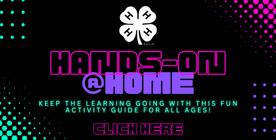 Flyer with 4-H clover logo and neon-style text reading “Hands-On @ Home,” encouraging all ages to keep learning with a fun activity guide and a “Click Here” prompt.