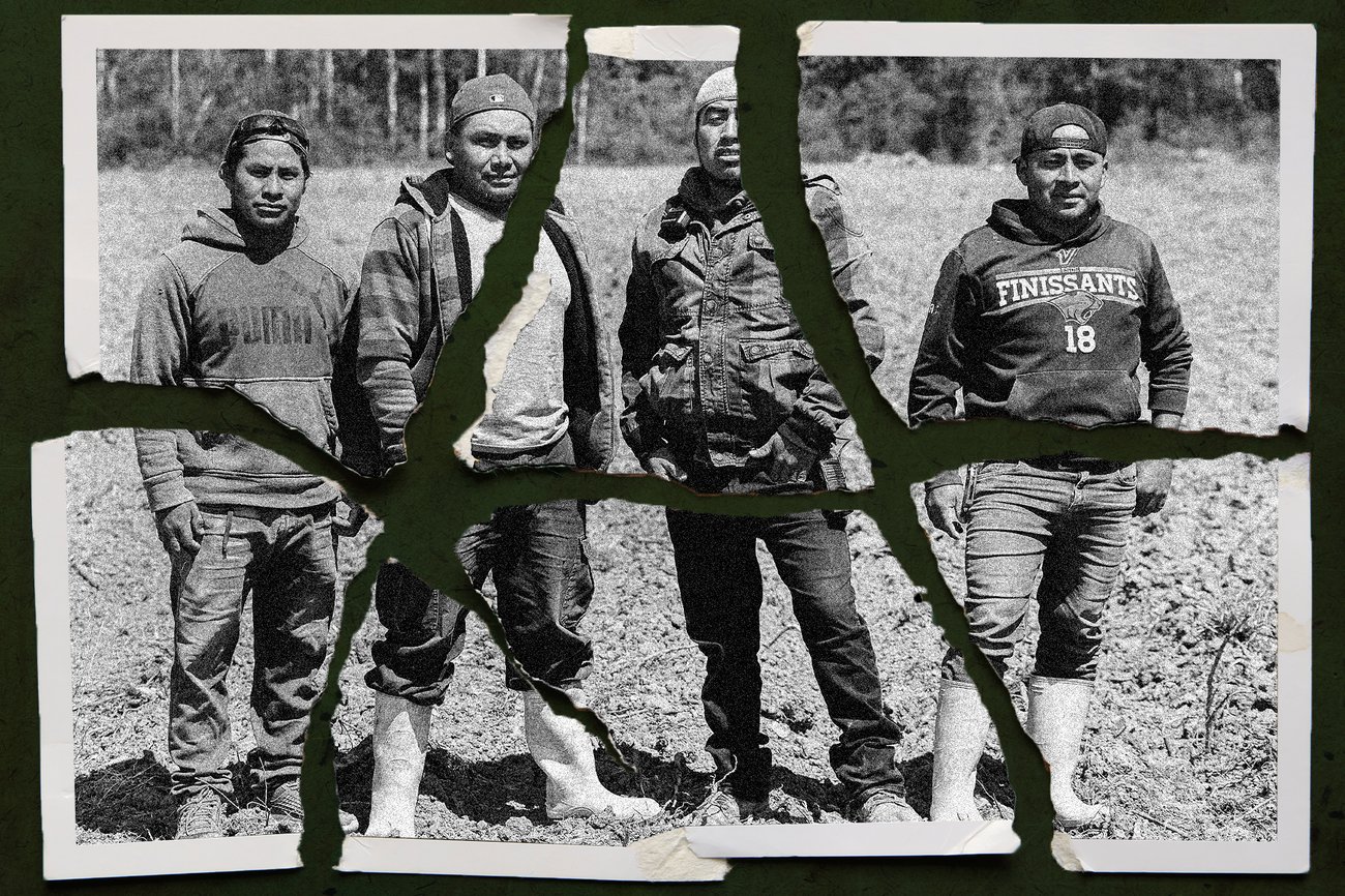 A photograph ripped into pieces portraying four men standing outside together.