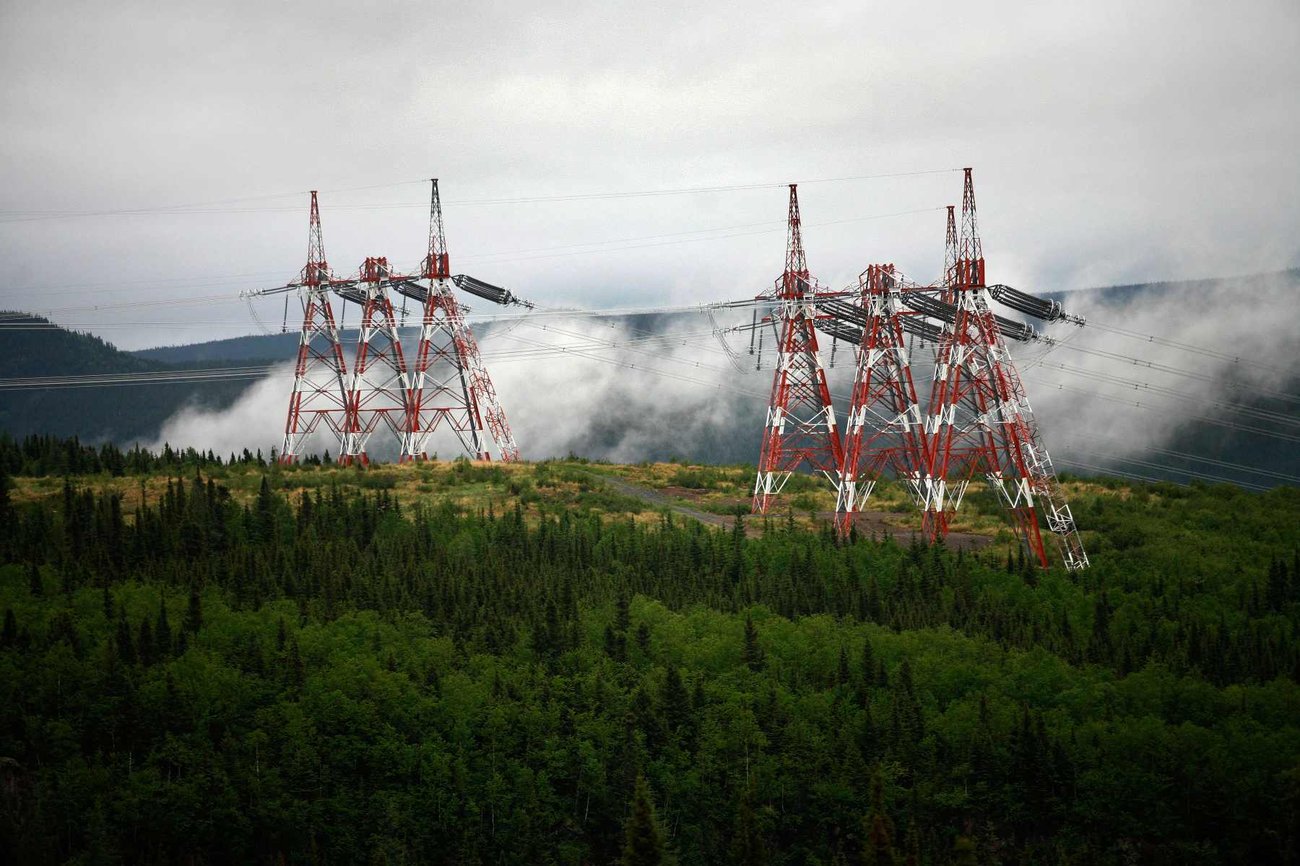 An image of power transmission towers with a forest in the foreground and mountains in the background.