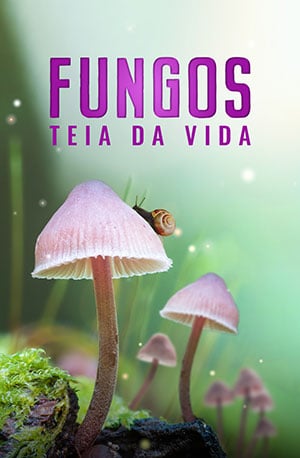 Filme: Fungos: Teia da Vida, na aquarius