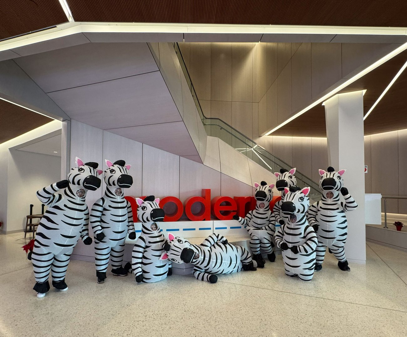 Eight people in zebra costumes posing for a group photo in the Moderna lobby, in front of their logo, beside the escalators