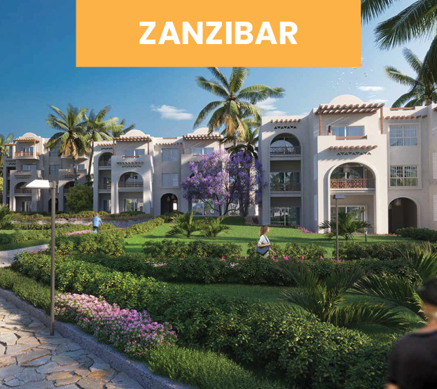 Zanzibar Deal