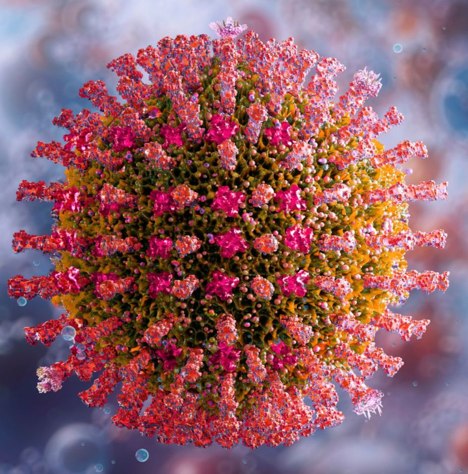 Close up image of measles 
