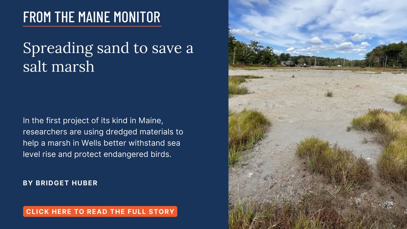 Spreading sand to save a salt marsh. In the first project of its kind in Maine, researchers are using dredged materials to help a marsh in Wells better withstand sea level rise and protect endangered birds. Read this Maine Monitor story by Bridget Huber.