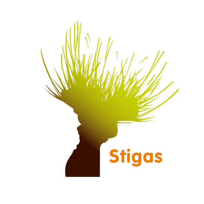 Stiga's