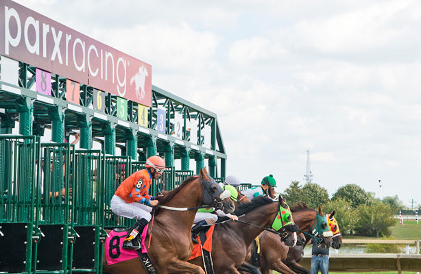 PArx starting gate