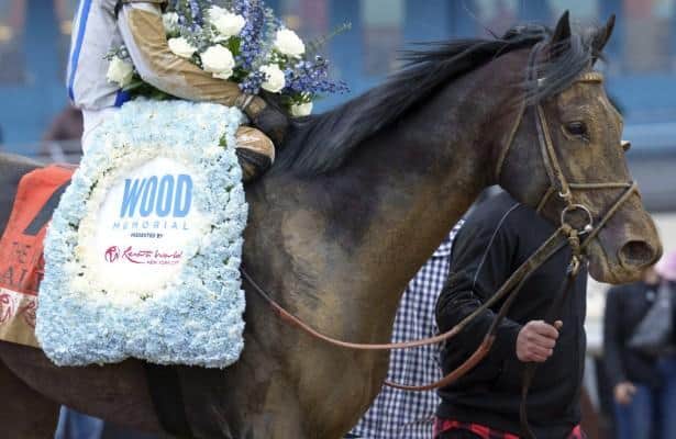 Wood Memorial winner Albus