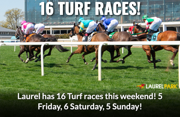 16 Turf races at Laurel Park this weekend!