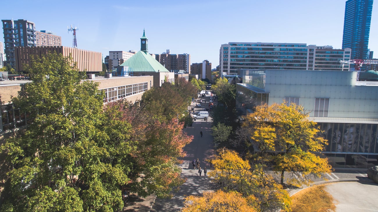 Gould street in the fall.