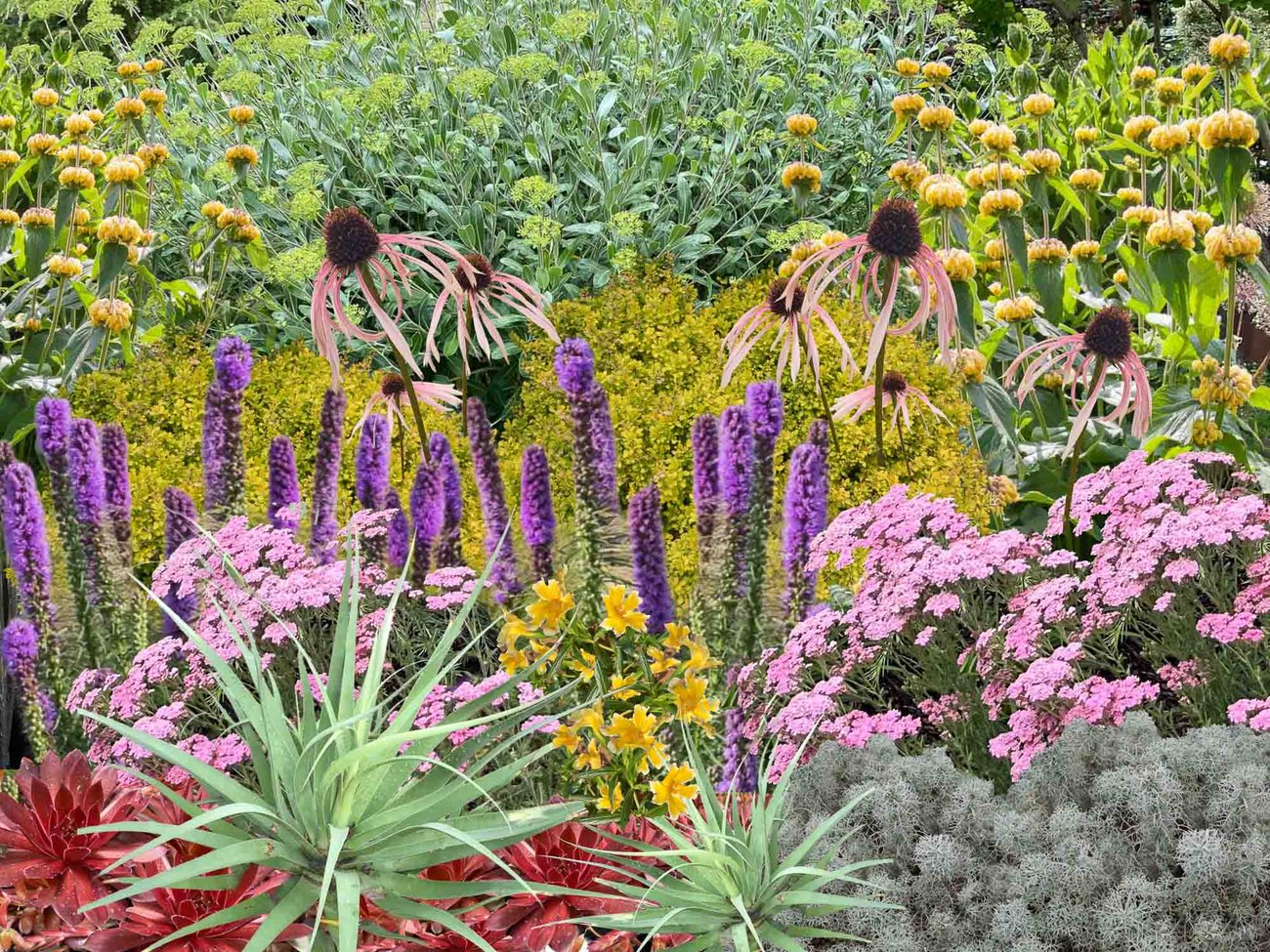 Enjoy Year-Round Beauty From 4 Season Foliage and Spring to Fall Flowers
