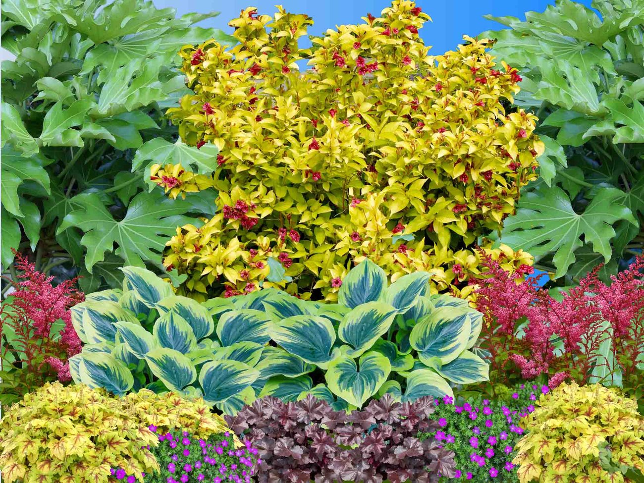 Plant Combo for Sun with Fab Foliage and Summer Flowers
