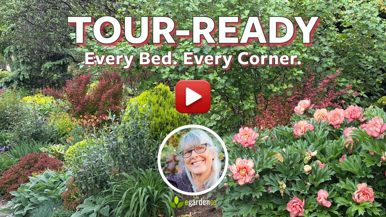 watch the video garden tour