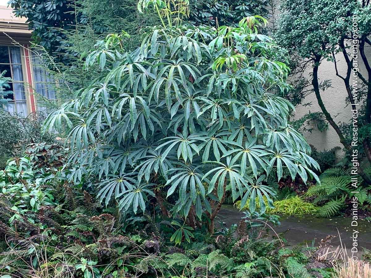 Enjoy Year-Round Beauty From 4 Season Foliage and Spring to Fall Flowers