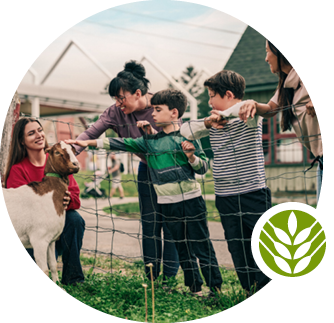 In an outdoor pen, two adults and two children interact with a small goat cared for by a museum guide.
