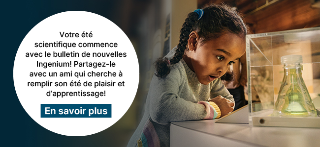 Une jeune fille observe attentivement un bécher dans une vitrine en verre. Le texte sur l'image indique : « Votre été scientifique commence avec le bulletin de nouvelles Ingenium! Partagez-le avec un ami qui cherche à remplir son été de plaisir et d'apprentissage! » avec un bouton intitulé « En savoir plus ».