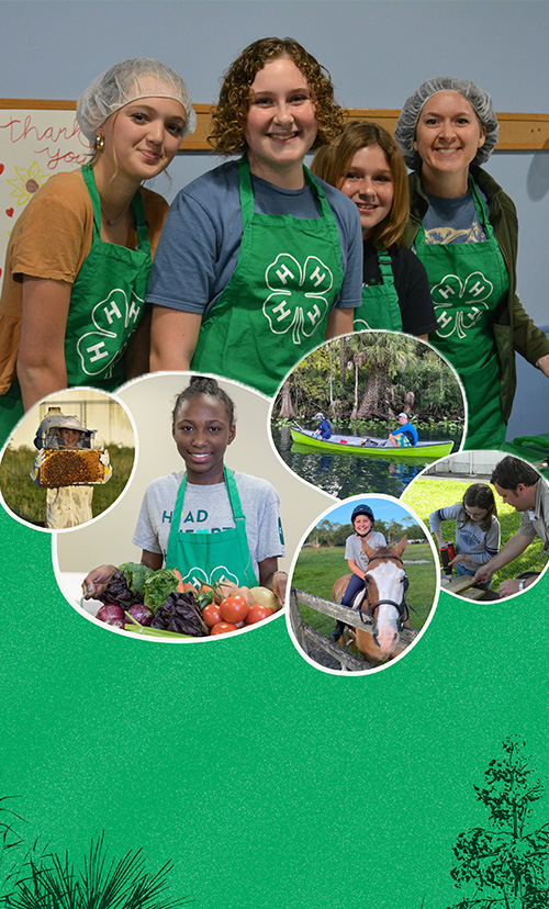 collage of 4-h kids