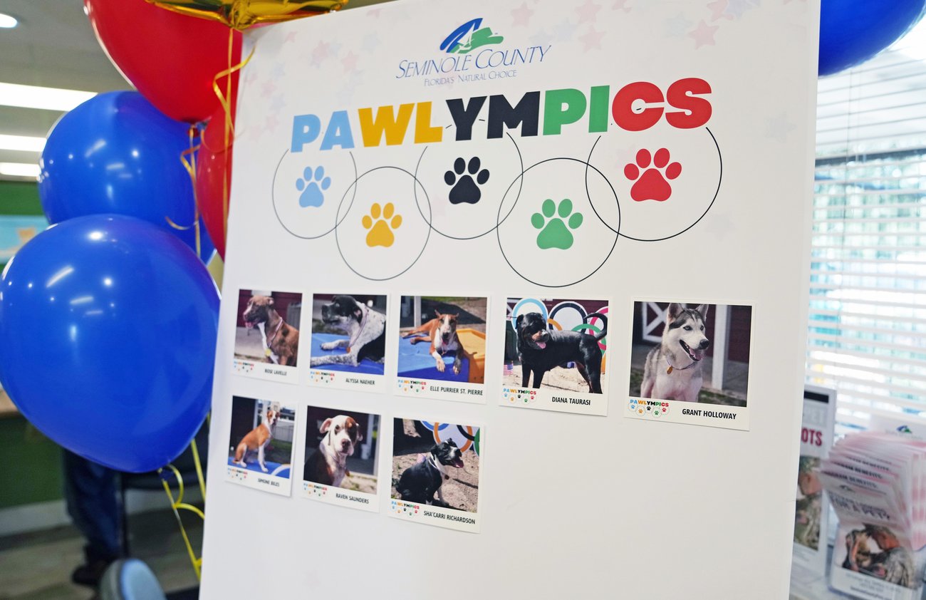 Photo of a sign that says "Pawlympics" along with photos of animals Photo of a sign that says "Pawlympics" along with photos of animals