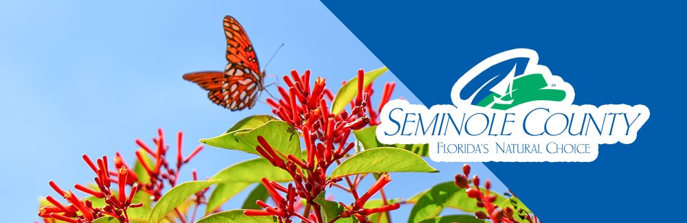 Seminole County Logo with a photo of a butteryfly at the extension Pollinator Garden