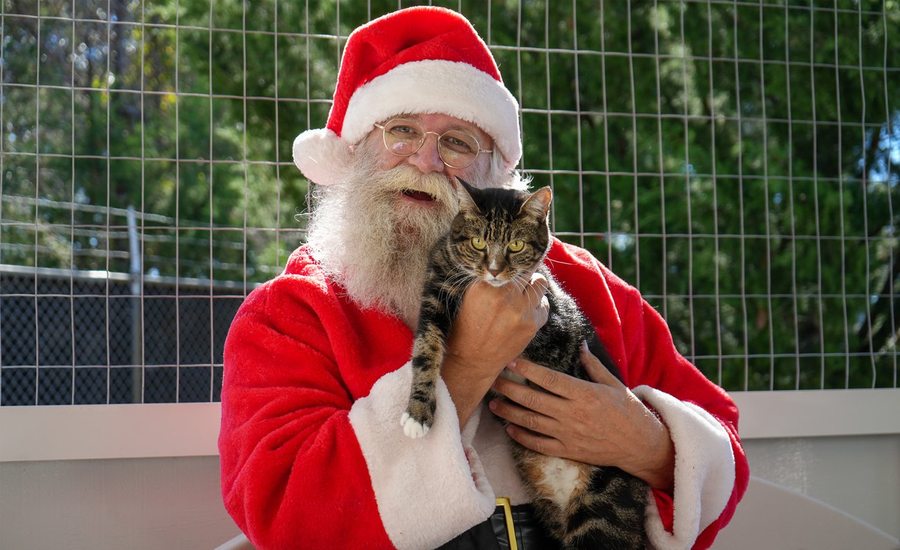 santa holding a cat in the animal shelter