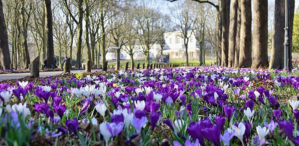 Nieuwsbrief De Groene Motor