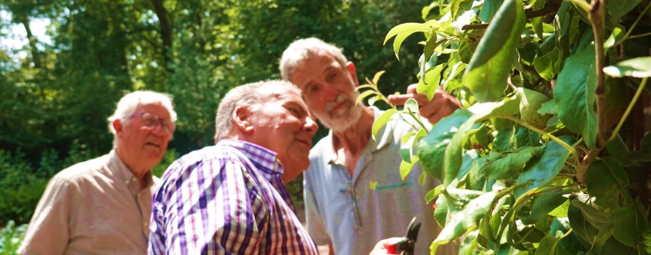 Nieuwsbrief De Groene Motor