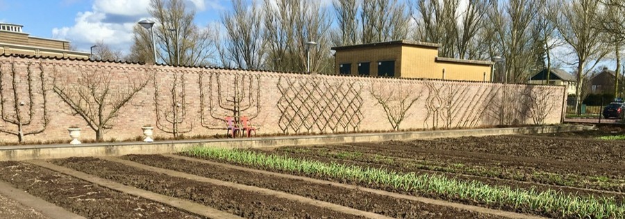 Cursus: Vrijwilliger in Historisch Groen