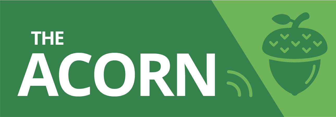 "The Acorn" hero banner in all caps paired with an acorn icon