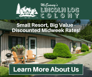 lincoln log colony display ad