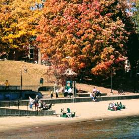 fall at shepard park beach