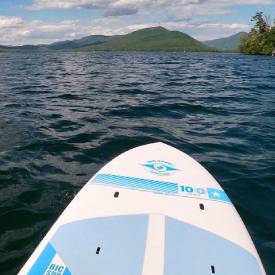 paddleboard in the water
