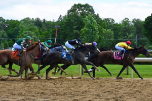 horses racing on dirt track horses racing on dirt track