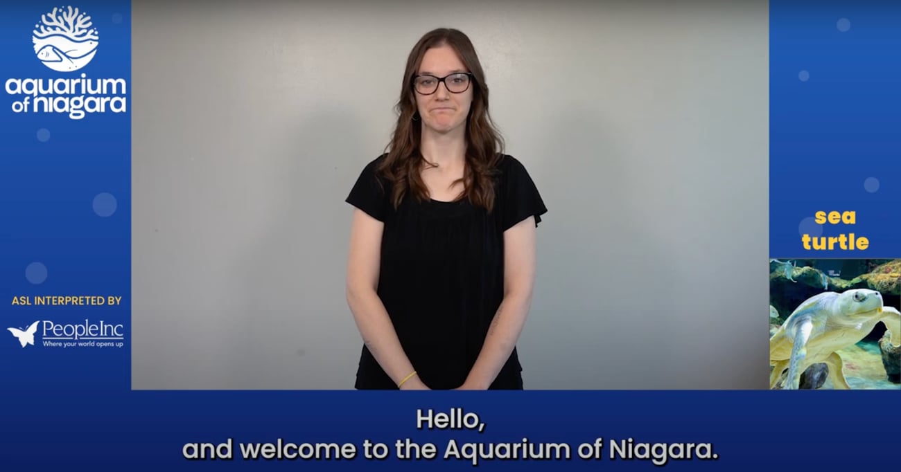 Barbie The Movie with ASL