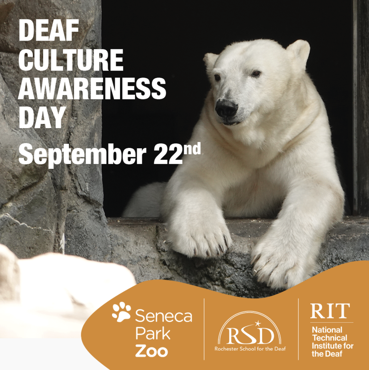 44884db2-bf55-4502-b02b-c9500481a678.png?r=220514902