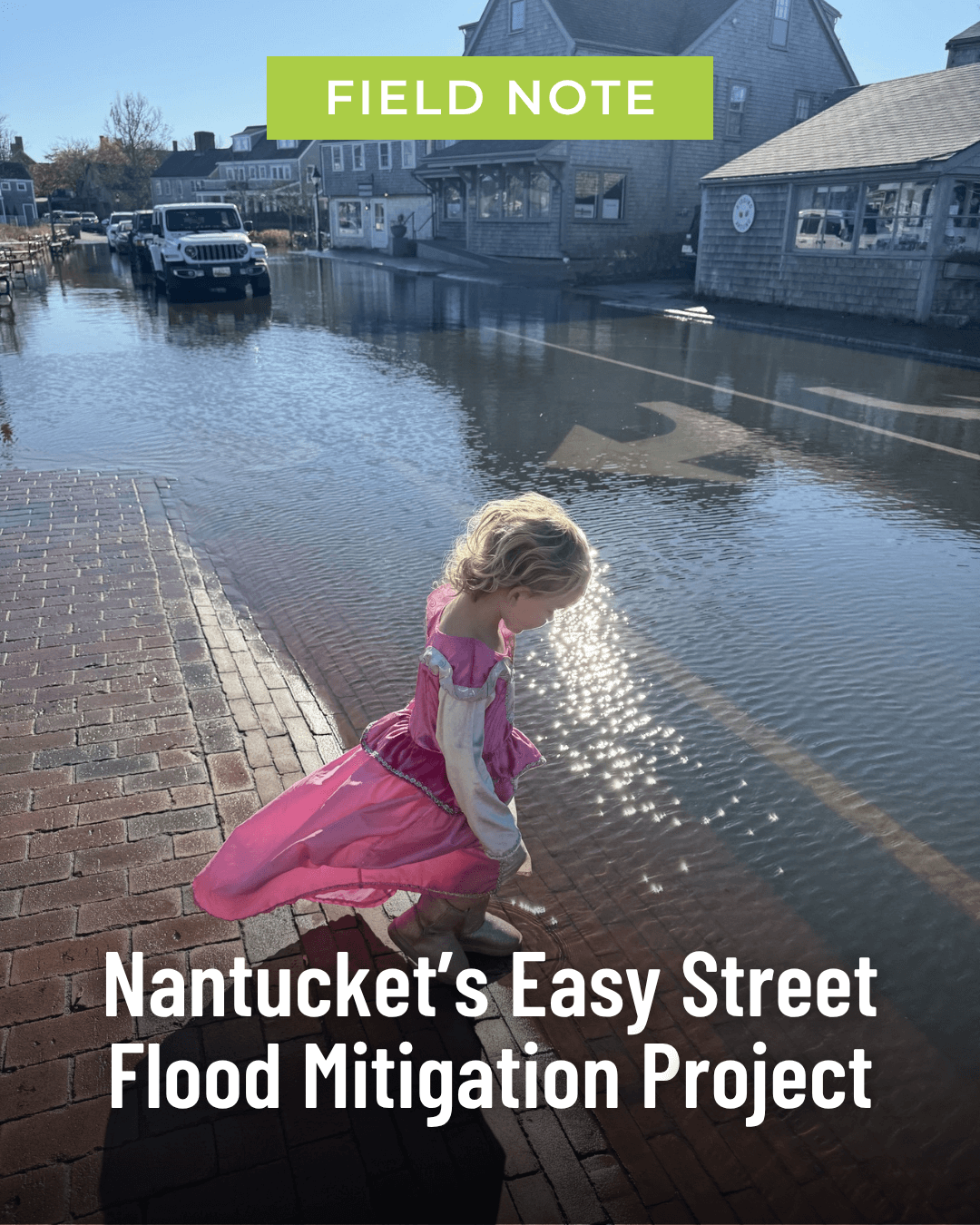 Nantucket’s Easy Street Flood Mitigation Project
