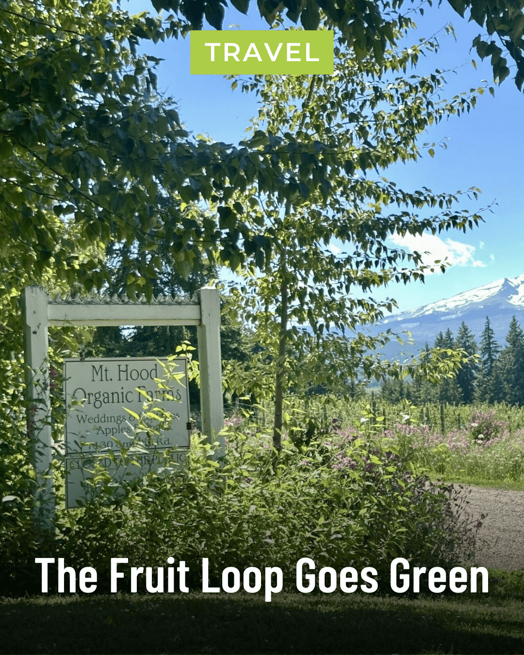 The Fruit Loop Goes Green