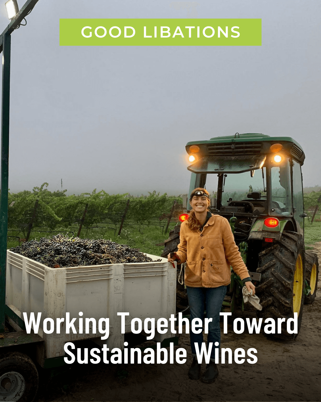 Working Together Toward Sustainable Wines