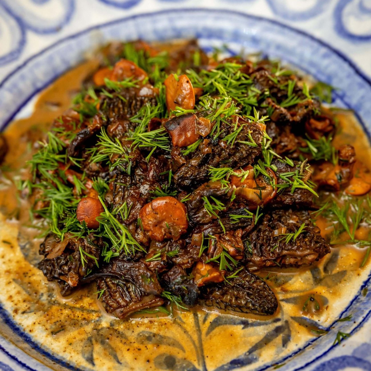 Mushroom Ragu